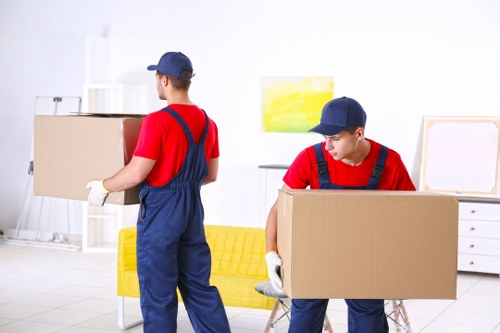 Accessible moving services in Barnet shown with inclusive website access